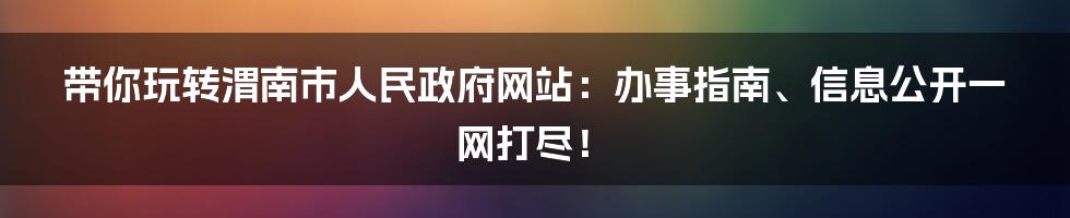 带你玩转渭南市人民政府网站：办事指南、信息公开一网打尽！