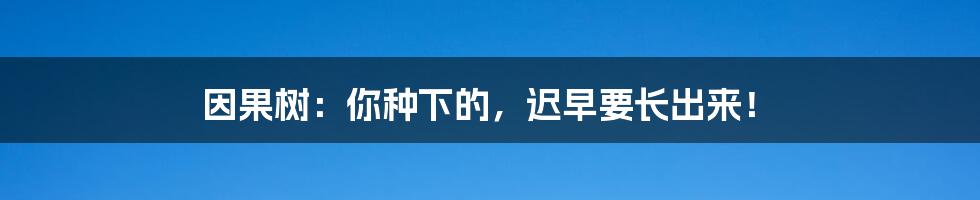 因果树:你种下的,迟早要长出来!
