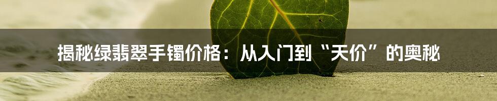 揭秘绿翡翠手镯价格：从入门到“天价”的奥秘