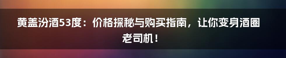 黄盖汾酒53度:价格探秘与购买指南,让你变身酒圈老司机!