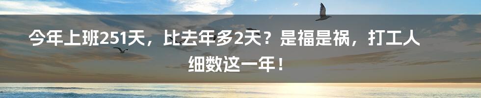 今年上班251天，比去年多2天？是福是祸，打工人细数这一年！