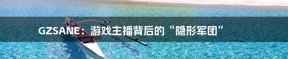 GZSANE：游戏主播背后的“隐形军团”