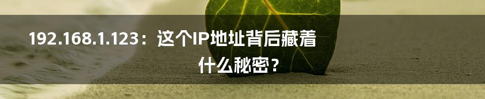 192.168.1.123：这个IP地址背后藏着什么秘密？