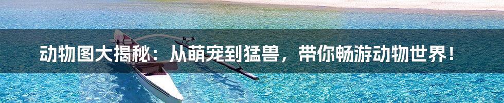 动物图大揭秘：从萌宠到猛兽，带你畅游动物世界！