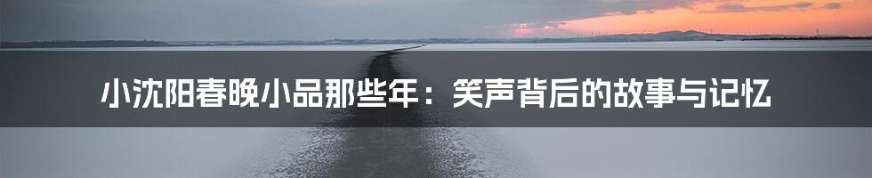 小沈阳春晚小品那些年:笑声背后的故事与记忆
