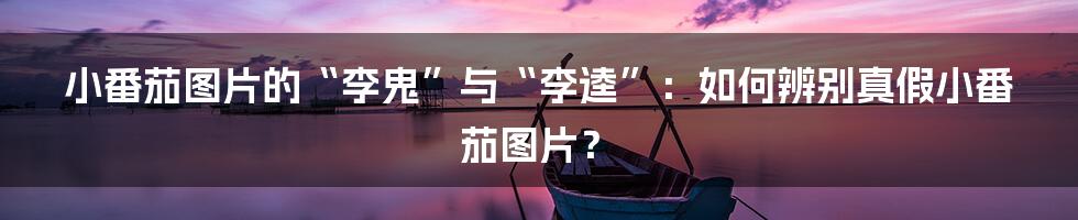 小番茄图片的“李鬼”与“李逵”:如何辨别真假小番茄图片?