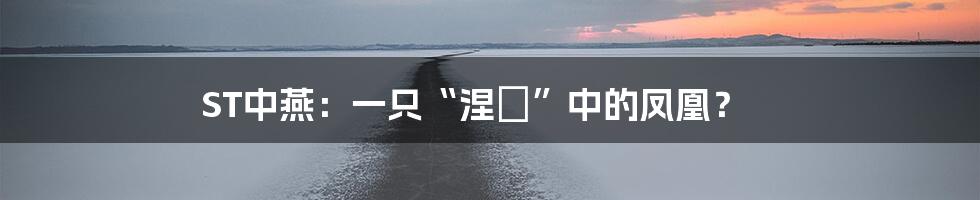 ST中燕:一只“涅槃”中的凤凰?