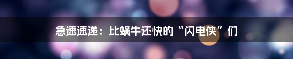 急速速递:比蜗牛还快的“闪电侠”们
