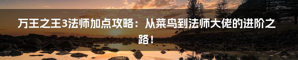万王之王3法师加点攻略:从菜鸟到法师大佬的进阶之路!