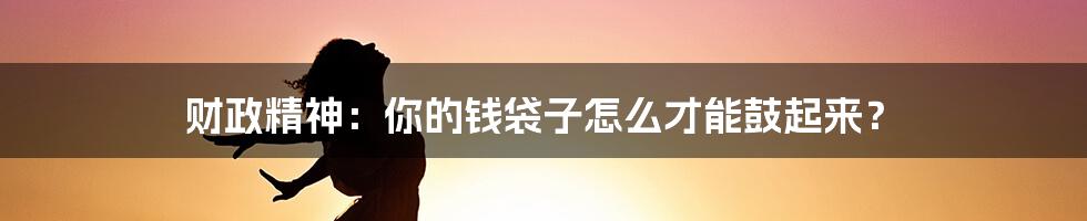 财政精神:你的钱袋子怎么才能鼓起来?