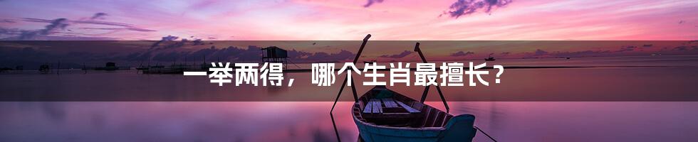 一举两得,哪个生肖最擅长?