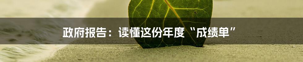 政府报告:读懂这份年度“成绩单”