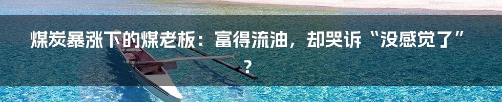 煤炭暴涨下的煤老板:富得流油,却哭诉“没感觉了”?