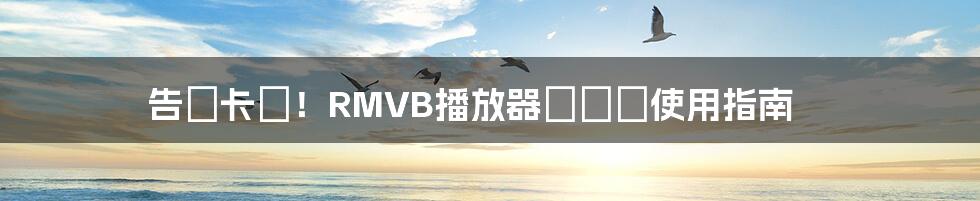 告別卡頓！RMVB播放器選購與使用指南