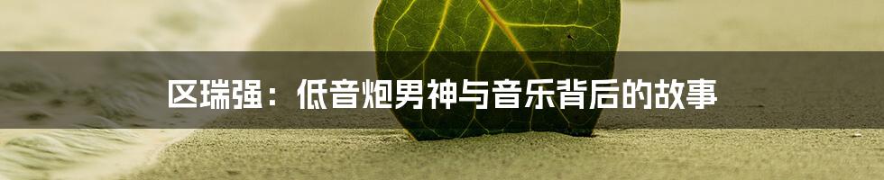 区瑞强：低音炮男神与音乐背后的故事