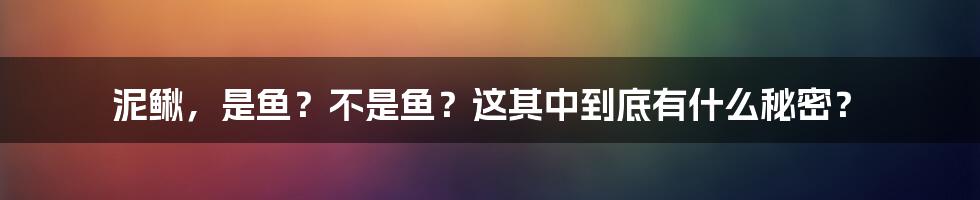 泥鳅,是鱼?不是鱼?这其中到底有什么秘密?