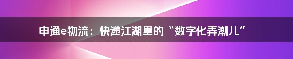 申通e物流:快递江湖里的“数字化弄潮儿”