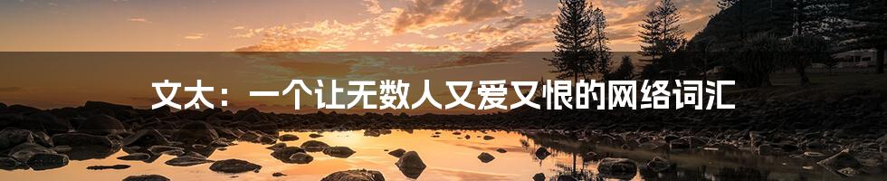 文太:一个让无数人又爱又恨的网络词汇