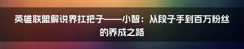 英雄联盟解说界扛把子——小智:从段子手到百万粉丝的养成之路