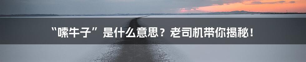 “嗦牛子”是什么意思？老司机带你揭秘！