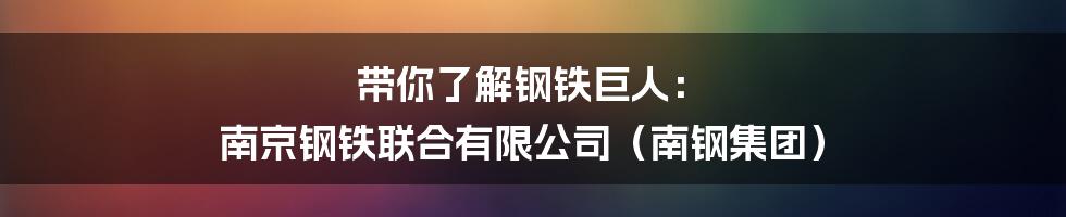 带你了解钢铁巨人: 南京钢铁联合有限公司(南钢集团)