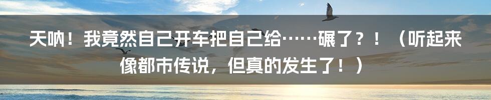天呐!我竟然自己开车把自己给……碾了?!(听起来像都市传说,但真的发生了!)