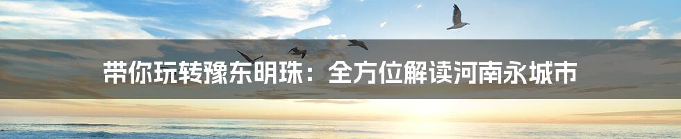 带你玩转豫东明珠:全方位解读河南永城市
