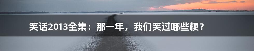 笑话2013全集:那一年,我们笑过哪些梗?