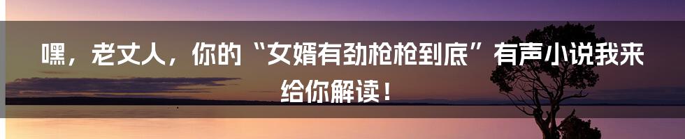 嘿,老丈人,你的“女婿有劲枪枪到底”有声小说我来给你解读!