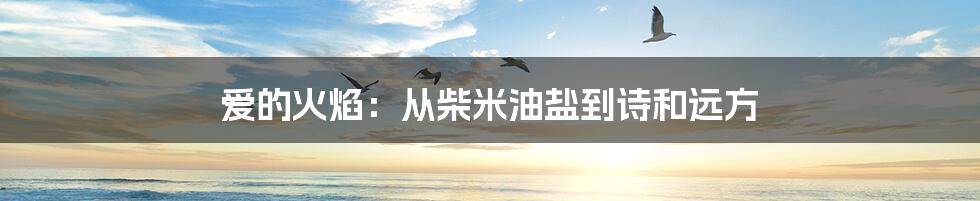 爱的火焰:从柴米油盐到诗和远方