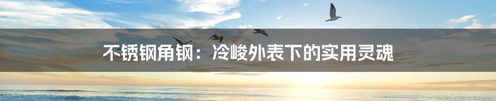不锈钢角钢:冷峻外表下的实用灵魂