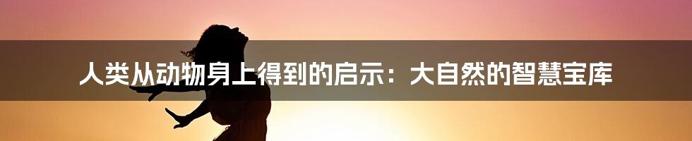 人类从动物身上得到的启示:大自然的智慧宝库