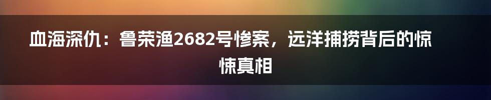 血海深仇:鲁荣渔2682号惨案,远洋捕捞背后的惊悚真相