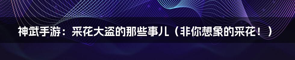 神武手游:采花大盗的那些事儿(非你想象的采花!)