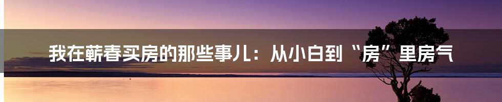 我在蕲春买房的那些事儿：从小白到“房”里房气