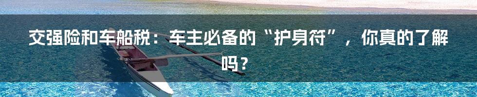 交强险和车船税:车主必备的“护身符”,你真的了解吗?