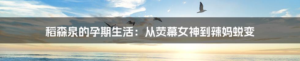 稻森泉的孕期生活:从荧幕女神到辣妈蜕变