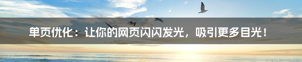 单页优化：让你的网页闪闪发光，吸引更多目光！