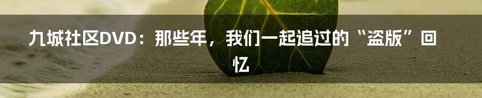 九城社区DVD:那些年,我们一起追过的“盗版”回忆