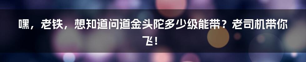 嘿,老铁,想知道问道金头陀多少级能带?老司机带你飞!