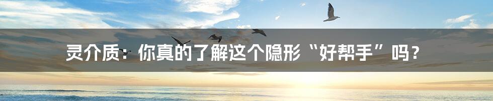 灵介质：你真的了解这个隐形“好帮手”吗？