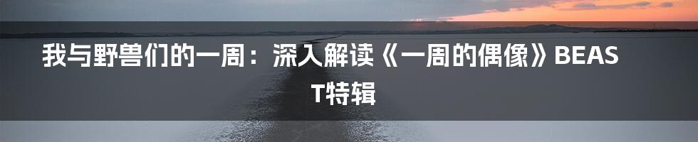 我与野兽们的一周:深入解读《一周的偶像》BEAST特辑