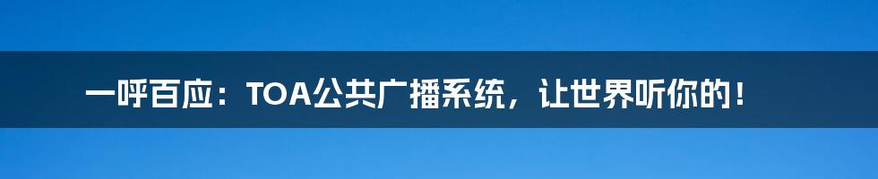 一呼百应：TOA公共广播系统，让世界听你的！
