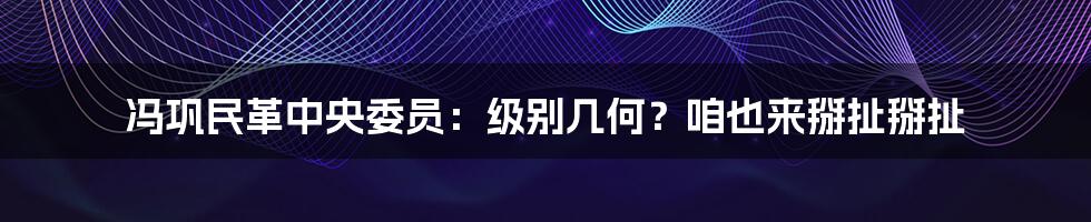 冯巩民革中央委员:级别几何?咱也来掰扯掰扯