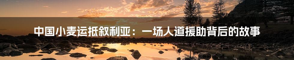 中国小麦运抵叙利亚：一场人道援助背后的故事