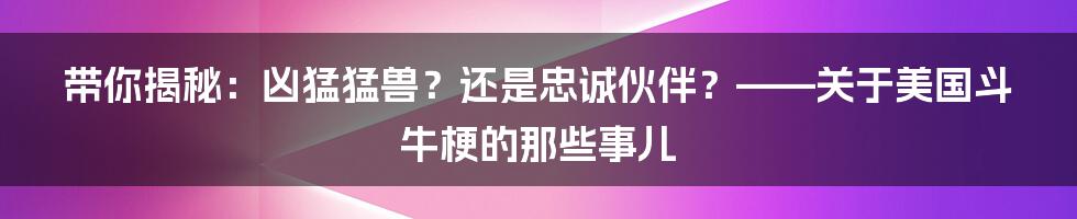 带你揭秘:凶猛猛兽?还是忠诚伙伴?——关于美国斗牛梗的那些事儿