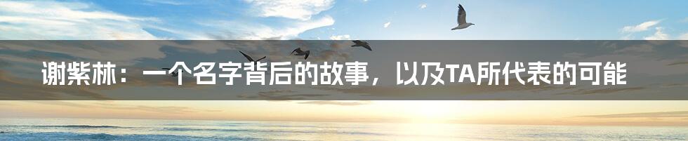 谢紫林：一个名字背后的故事，以及TA所代表的可能