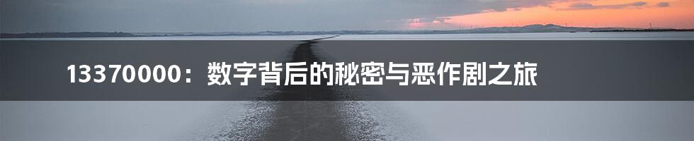 13370000：数字背后的秘密与恶作剧之旅