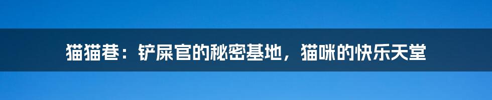 猫猫巷：铲屎官的秘密基地，猫咪的快乐天堂