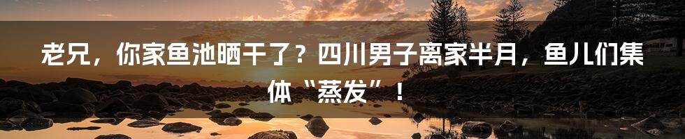 老兄,你家鱼池晒干了?四川男子离家半月,鱼儿们集体“蒸发”!